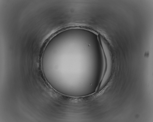 X0000091971165200710041043