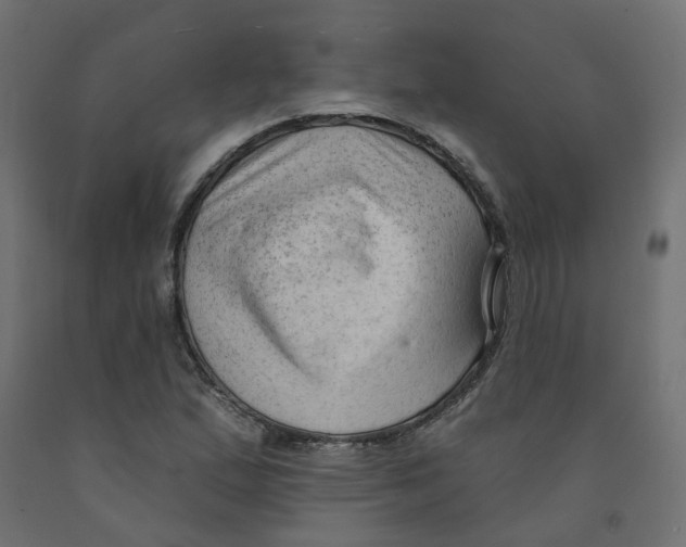 X0000091971167200710041043