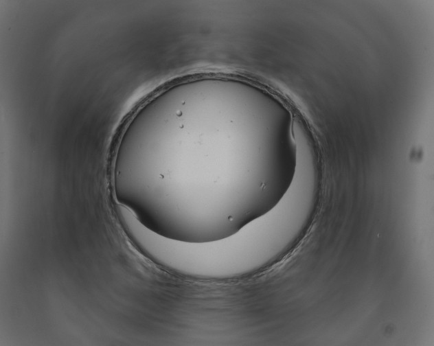 X0000091971168200710041043