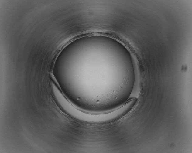 X0000091971169200710041043