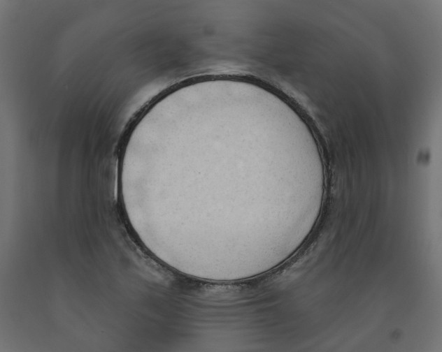 X0000091971171200710041043