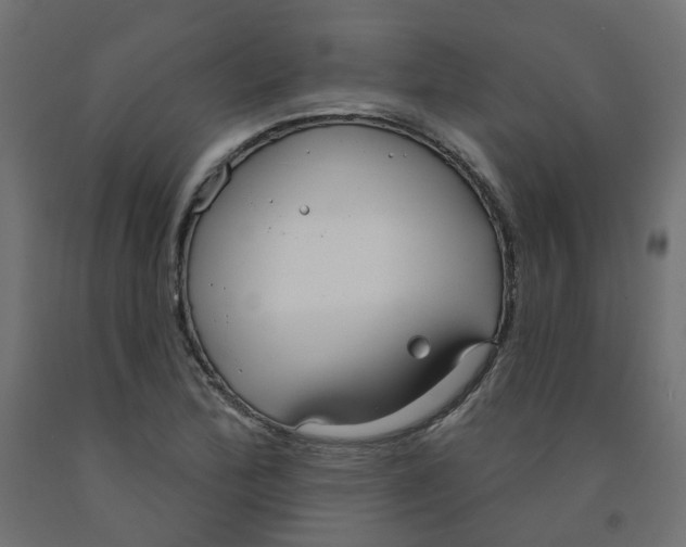X0000091971172200710041043