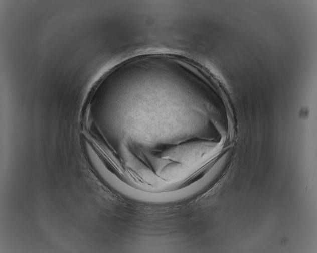 X0000091971173200710041043
