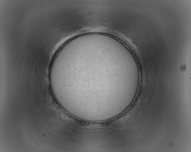 X0000091971174200710041043