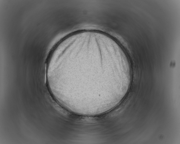 X0000091971175200710041043
