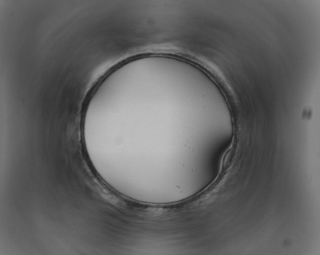 X0000091971176200710041043
