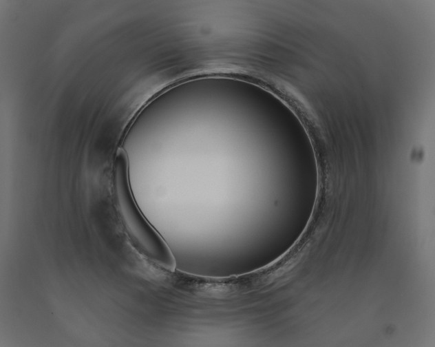 X0000091971177200710041043