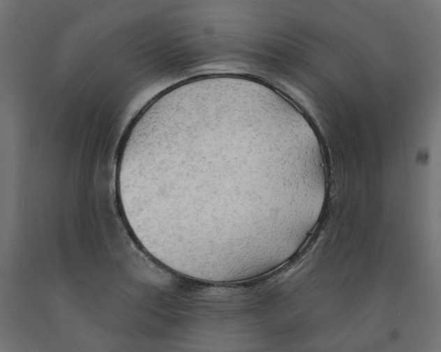 X0000091971179200710041043