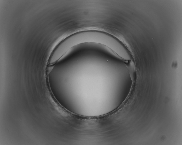 X0000091971181200710041043