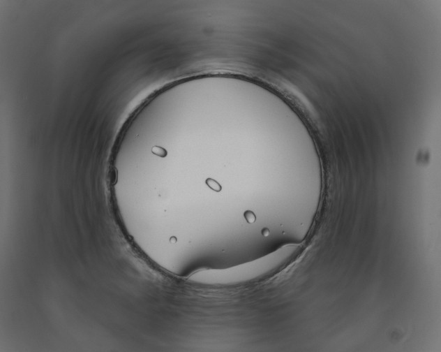 X0000091971182200710041043