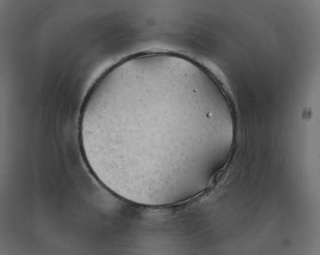 X0000091971183200710041043