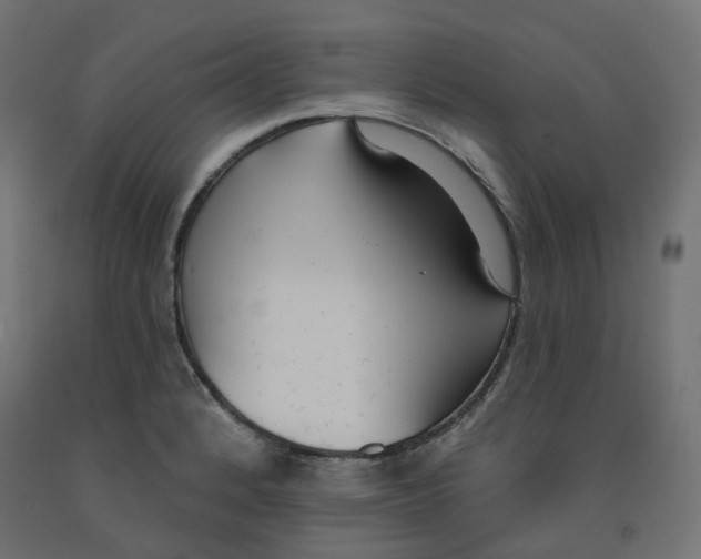 X0000091971184200710041043
