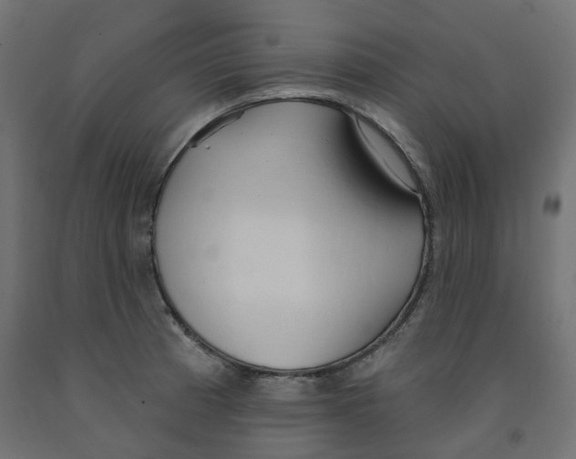 X0000091971185200710041043