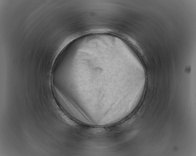 X0000091971186200710041043