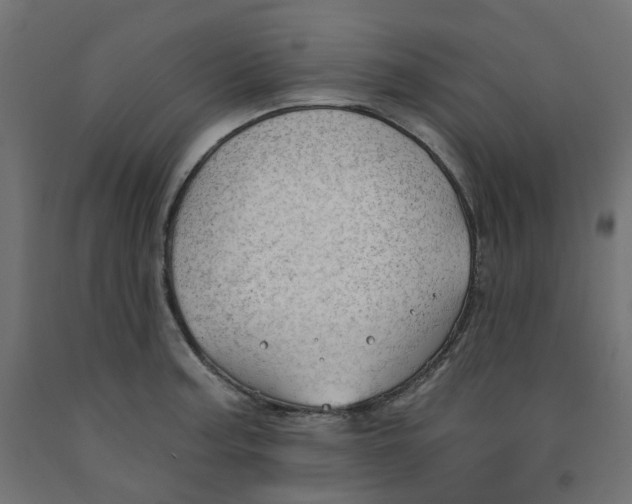 X0000091971187200710041043