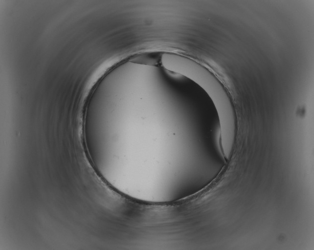 X0000091971188200710041043
