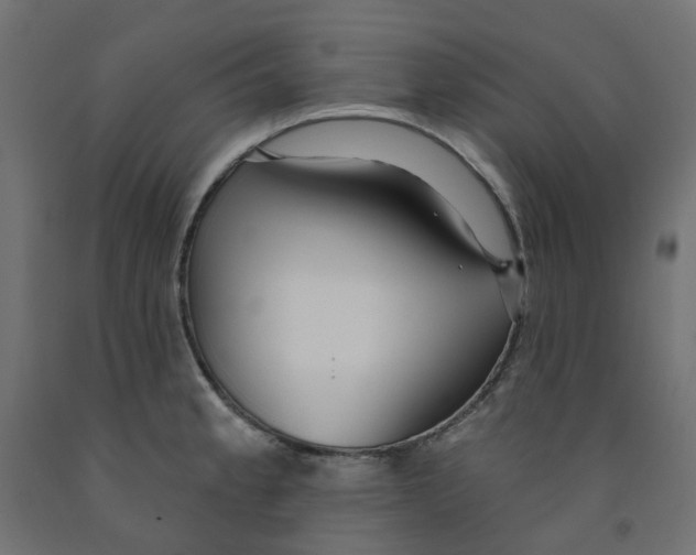 X0000091971189200710041043