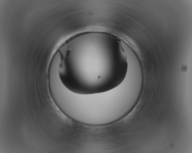 X0000091971192200710041043