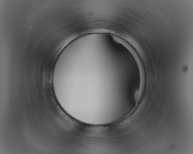 X0000091971193200710041042