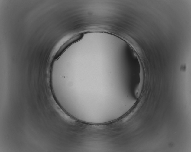X0000091971196200710041042