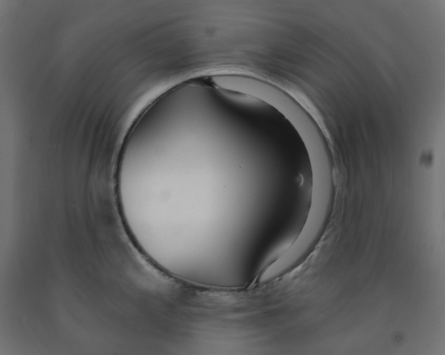X0000091971197200710041042