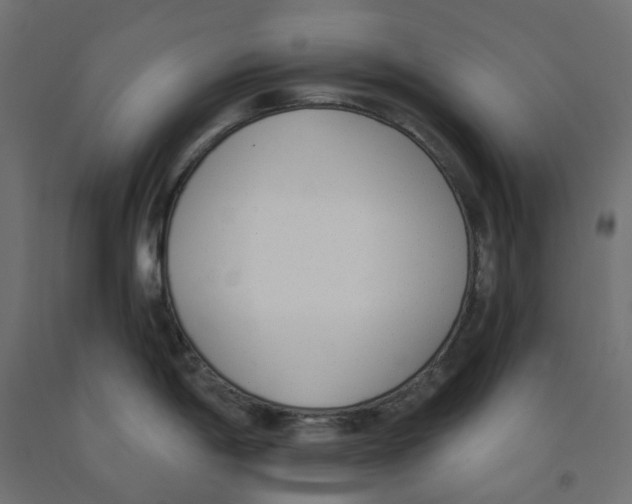X0000091971198200710041042
