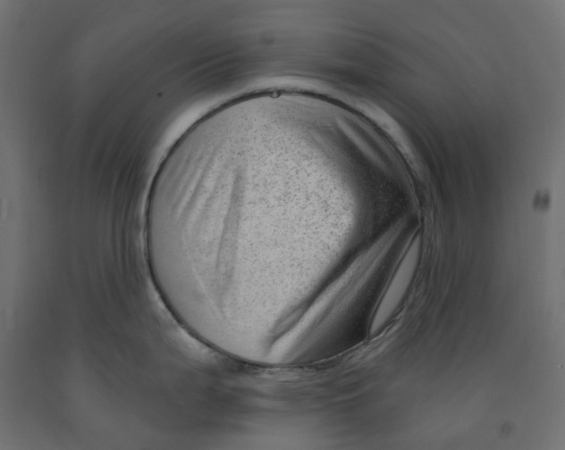 X0000091971199200710041042