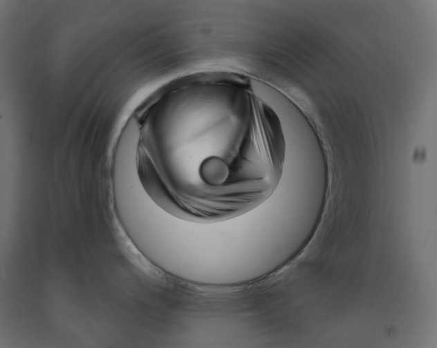 X0000091971200200710041042
