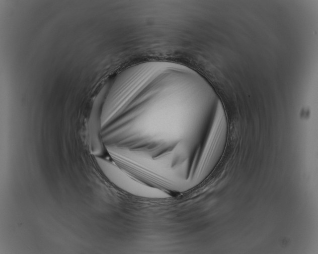 X0000091971202200710041042