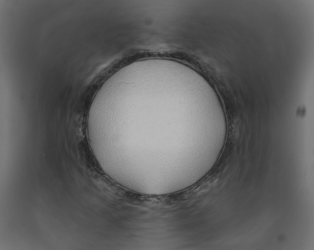 X0000091971205200710041042
