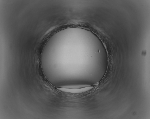 X0000091971206200710041042
