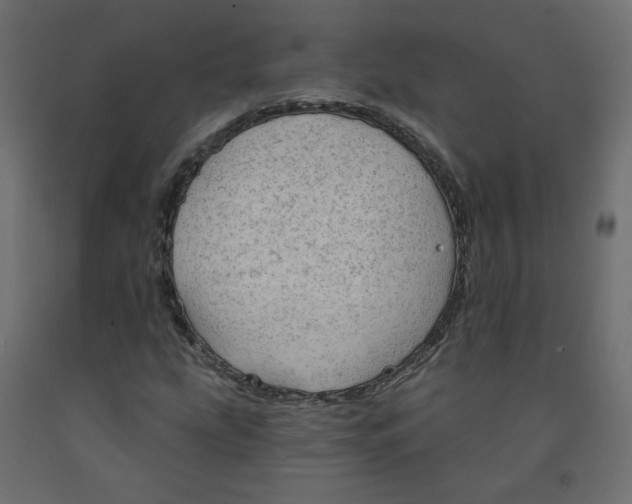 X0000091971207200710041042