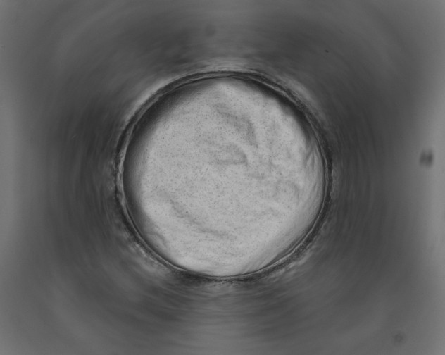 X0000091971212200710041042