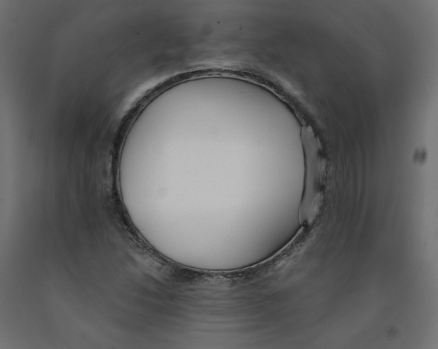 X0000091971214200710041042