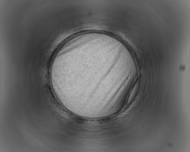 X0000091971215200710041042
