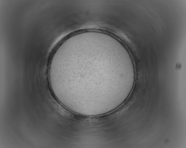 X0000091971216200710041042