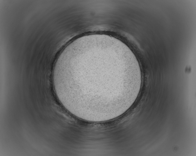 X0000091971217200710041042