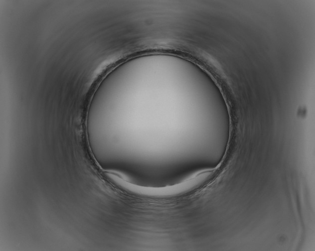 X0000091971218200710041042