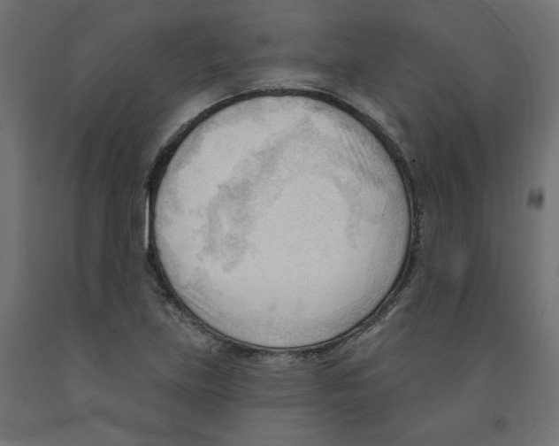 X0000091971219200710041042