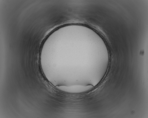 X0000091971220200710041042