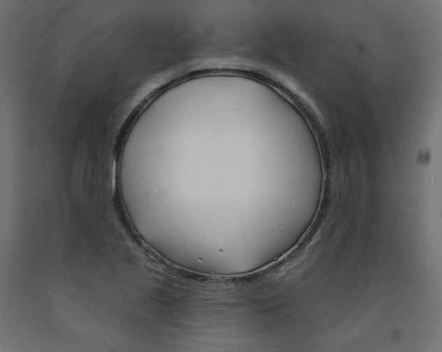 X0000091971221200710041042