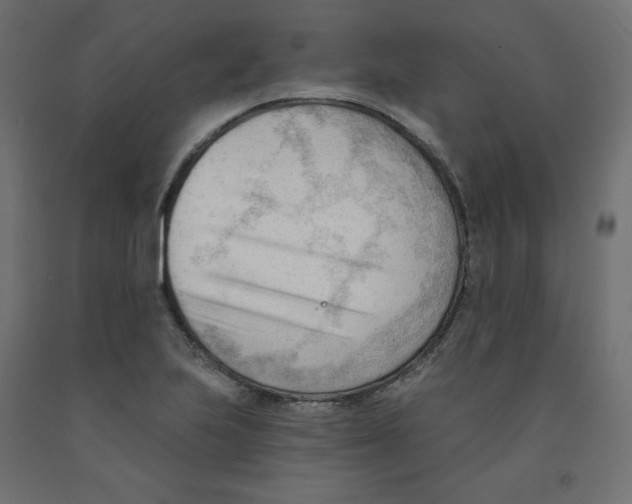 X0000091971223200710041042