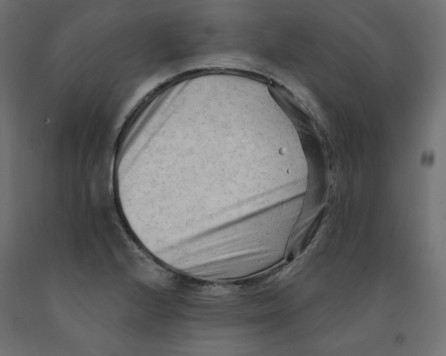 X0000091971224200710041042