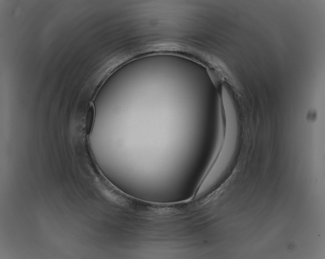 X0000091971225200710041042