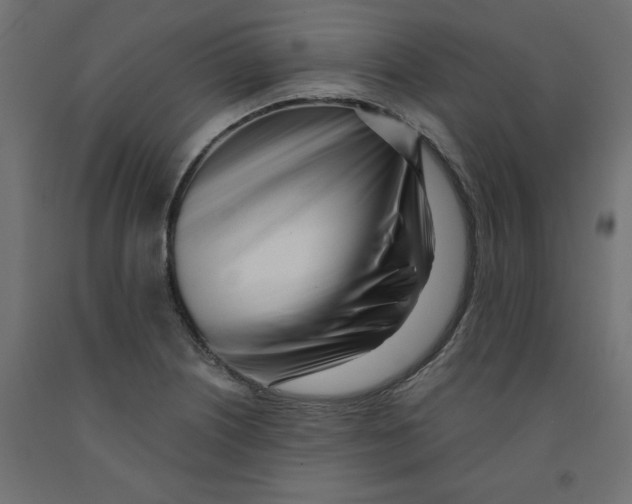 X0000091971226200710041042