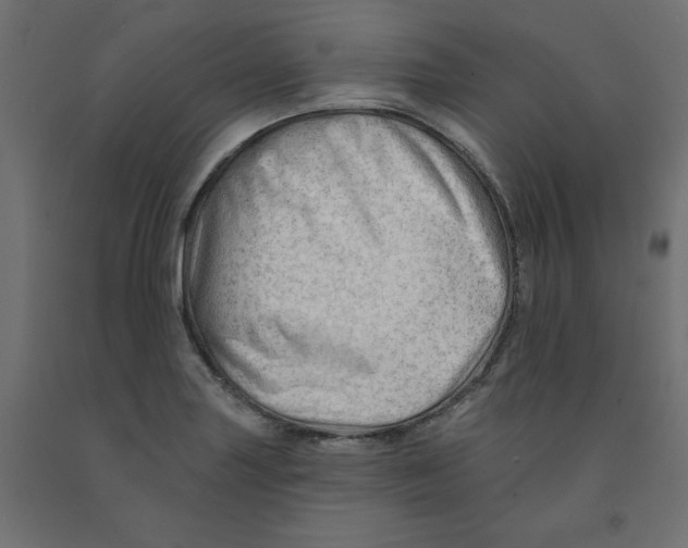 X0000091971227200710041042