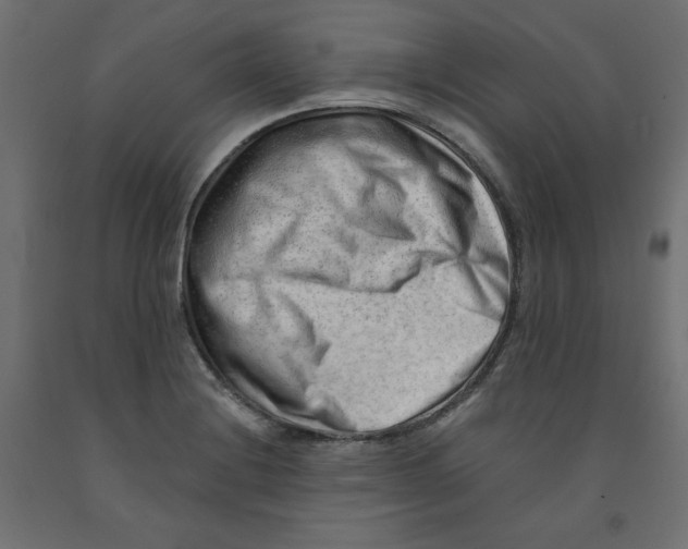 X0000091971228200710041042