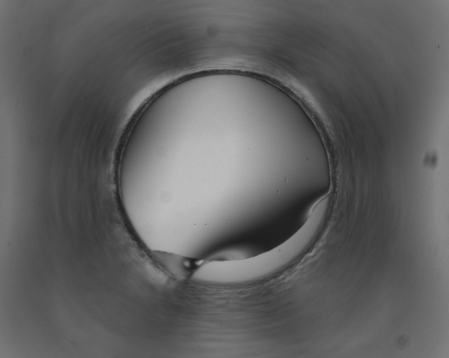 X0000091971230200710041042