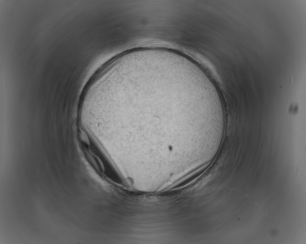 X0000091971231200710041042