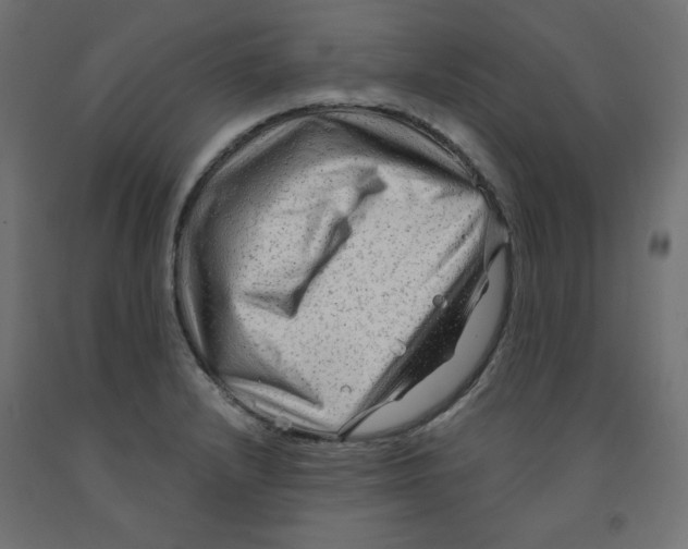 X0000091971232200710041042